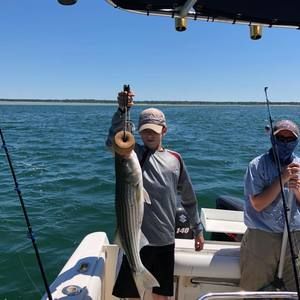 Meet your Posher, Michael